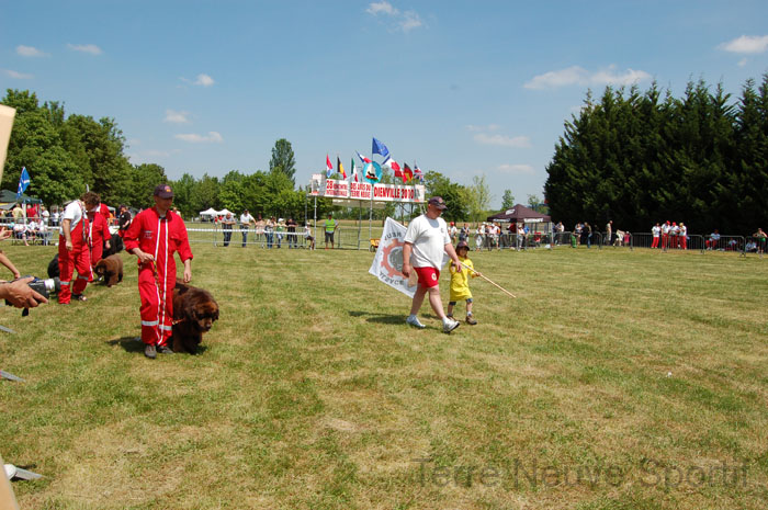 Terre neuve de Haute Alsace 1