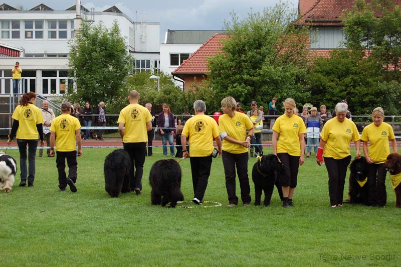 NEUFUNLANDERG STUTTGART 03