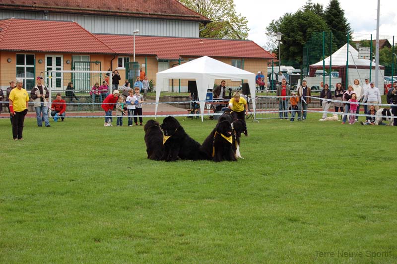 NEUFUNLANDERG STUTTGART 06