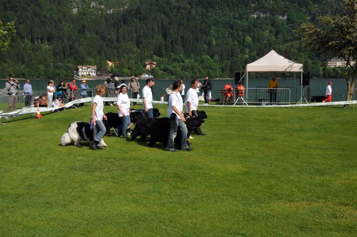 Amicale du TN Geneve  01