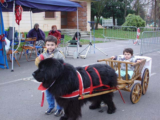 actu12_telethon chelles 2003 (2)