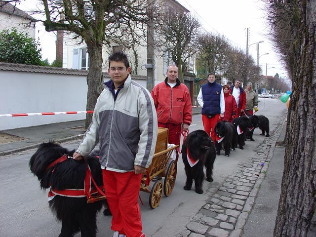 actu13_telethon chelles 2003 (3)