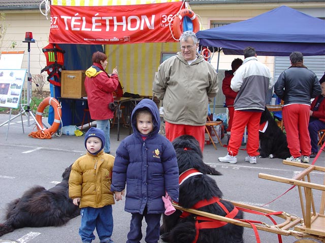 actu14_telethon chelles 2003 (4)