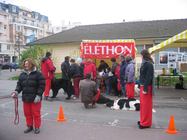 actu20_telethon (10)