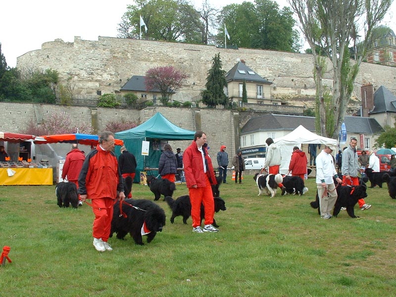 Actualites01 Pontoise (06)