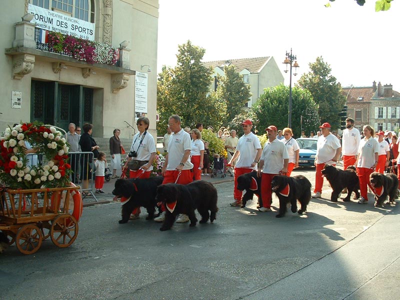 Actualites06 Coulommiers (05)