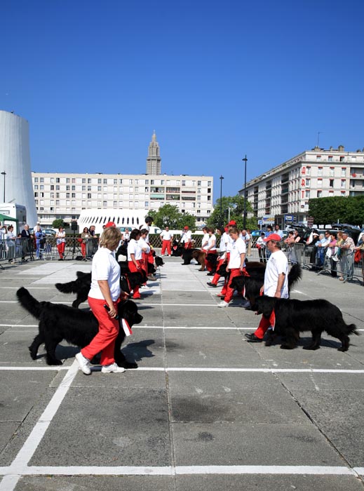 Actualités 2007 - 10 Le Havre (05)