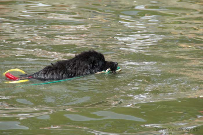 Demonstration a l'eau 7