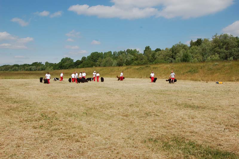 Vaires sur Marne Sol 23