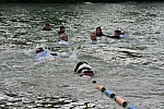 14352262_10205613248245369_7531979028010098311_o.jpg