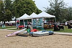 IMG_3950.jpg