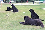 IMG_3951.jpg