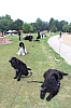 IMG_3952.jpg