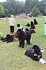 IMG_3961.jpg