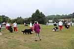 IMG_3966.jpg