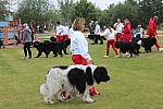 IMG_3970.jpg