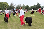 IMG_3971.jpg
