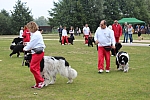 IMG_3972.jpg