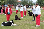 IMG_3975.jpg
