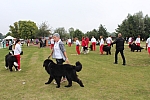 IMG_3976.jpg