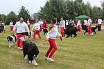 IMG_3978.jpg