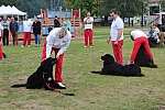 IMG_3980.jpg