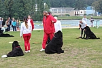 IMG_3981.jpg