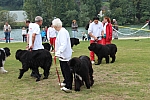 IMG_3982.jpg