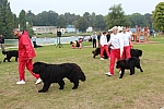 IMG_3983.jpg