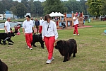 IMG_3984.jpg
