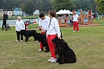 IMG_3985.jpg