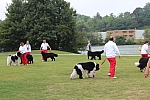 IMG_3991.jpg