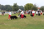 IMG_3994.jpg