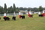 IMG_3996.jpg