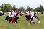 IMG_3997.jpg