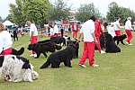 IMG_3998.jpg
