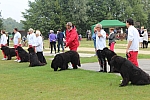 IMG_3999.jpg
