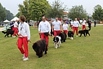 IMG_4001.jpg