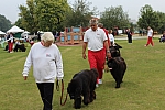 IMG_4003.jpg